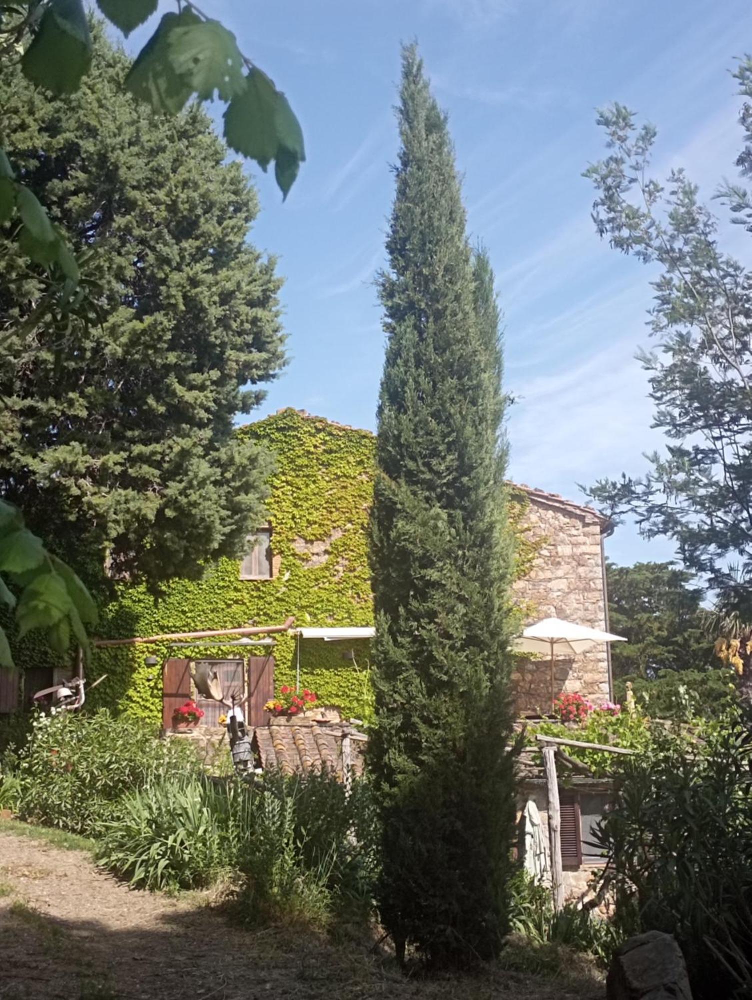 Hostal Casa Marju Montemassi Exterior foto